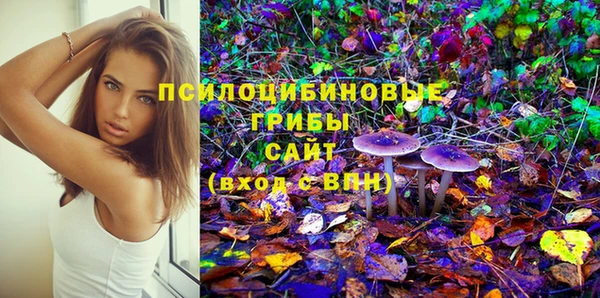 таблы Алексин