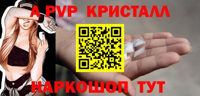 крисы Гагарин