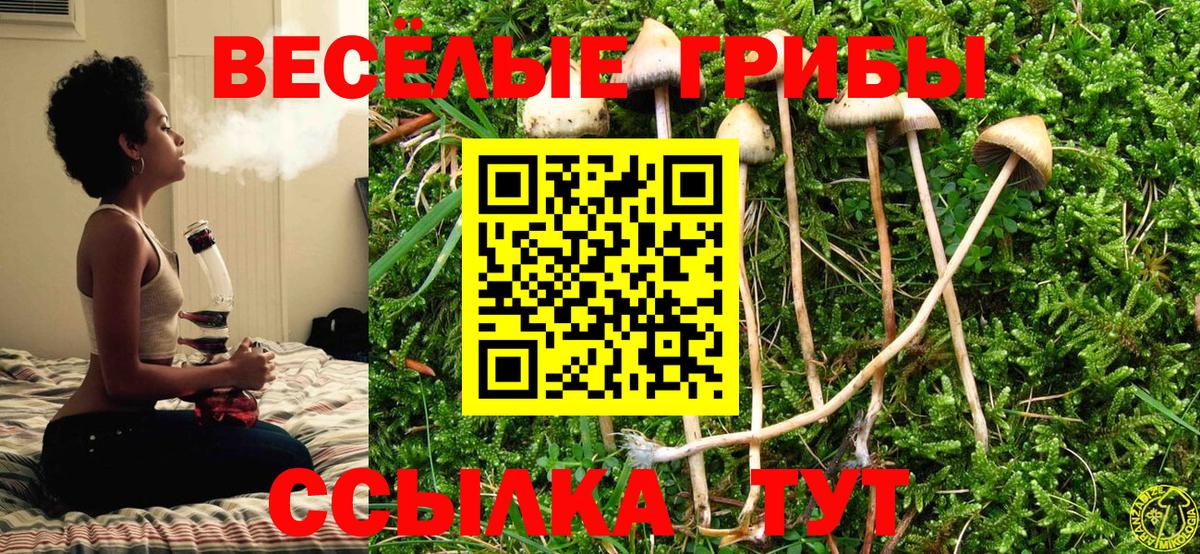 Галлюциногенные грибы Psilocybe Красноуфимск